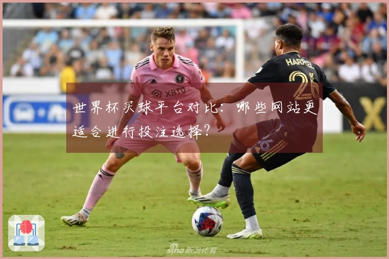 世界杯买球平台对比：哪些网站更适合进行投注选择？