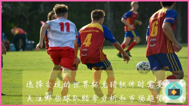 选择合适的世界杯竞猜软件时需要关注哪些球队赔率分析和市场趋势？