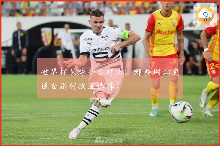 世界杯买球平台对比:哪些网站更适合进行投注选择?